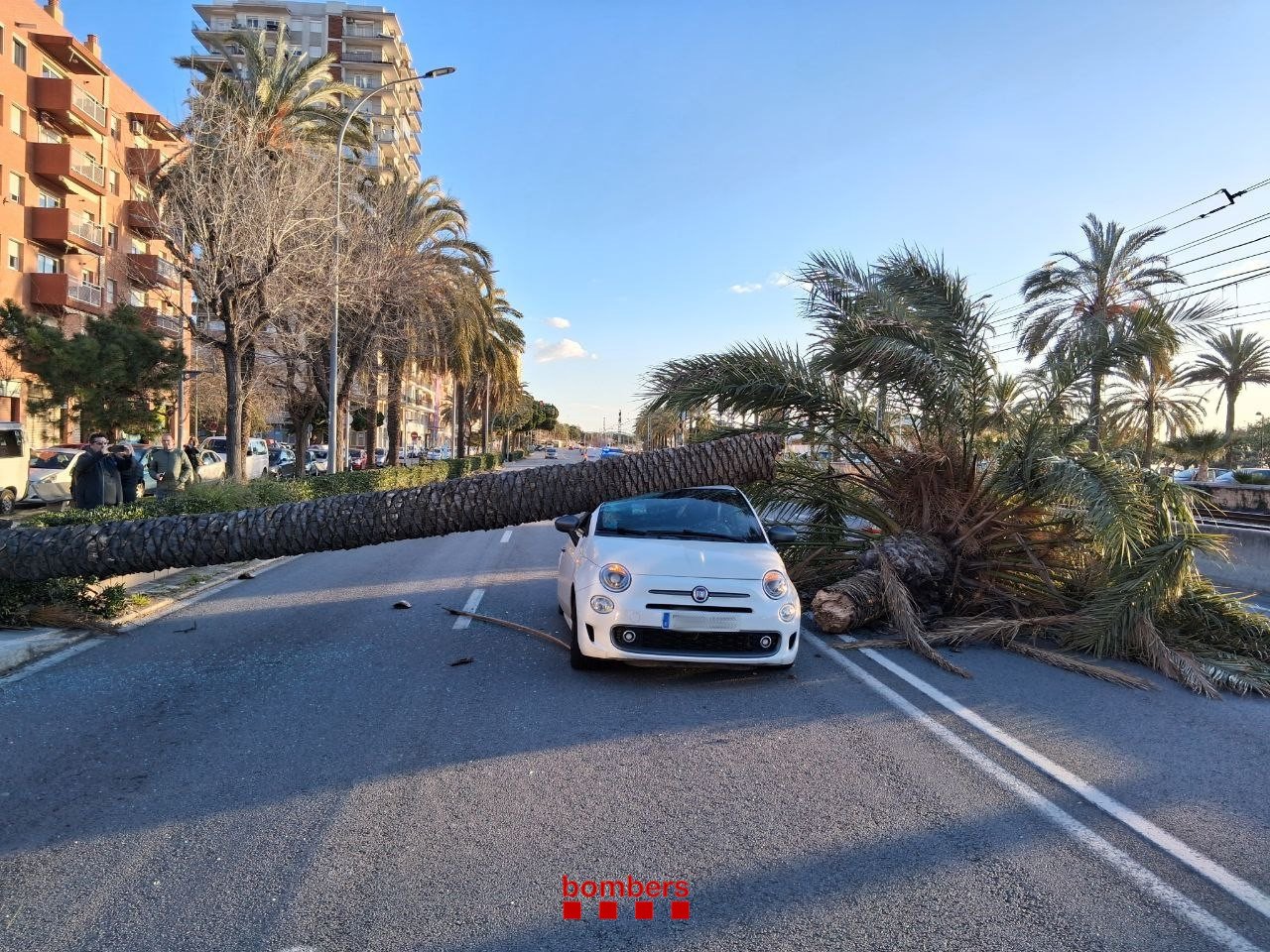 Vântul extrem a lovit regiunea Catalonia, provocând perturbări majore în traficul rutier și feroviar Regiunea autonomă Catalonia, situată în nord-estul Spaniei, a fost martorul unor rafale de vânt deosebit de puternice, care au ajuns până la viteze de 167 km/h, conform ultimelor informații