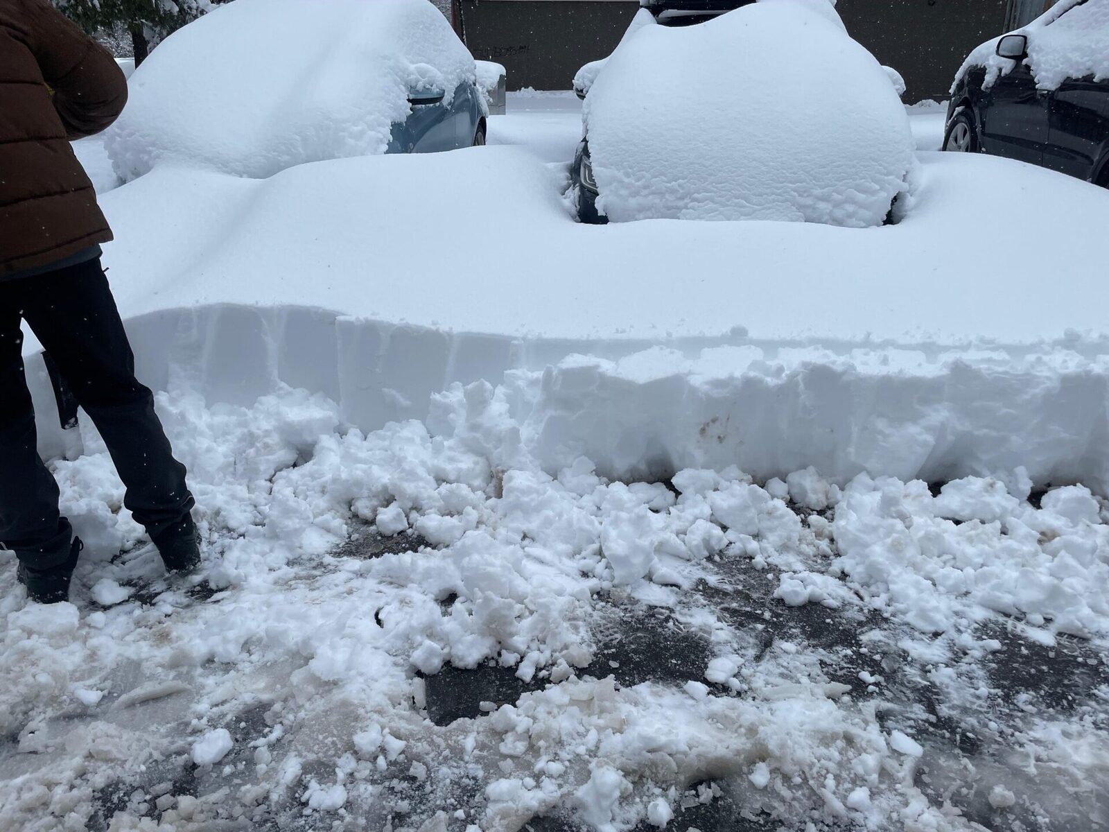 Bucureștiul, îngropat sub o covație de zăpadă și sub asaltul unui val de ger, se află în fața unui episod de iarnă extremă, cu impact major asupra vieții cotidiene și infrastructurii orașului