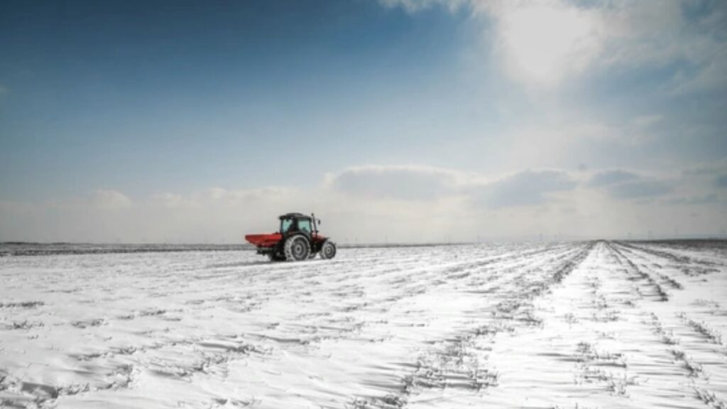 Ninsorile abundente din ultimele zile răspândesc optimism în rândul fermierilor români, mai ales în sectorul vegetal, unde precipitațiile însemnate contribuie semnificativ la refacerea resurselor de apă din sol