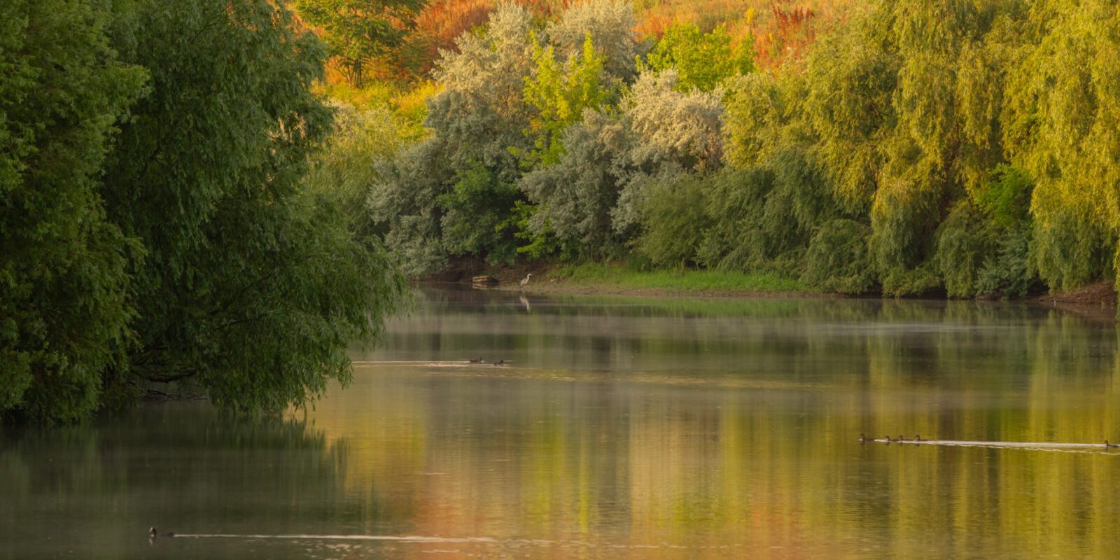 Atelier foto gratuit pe traseul Dâmboviței