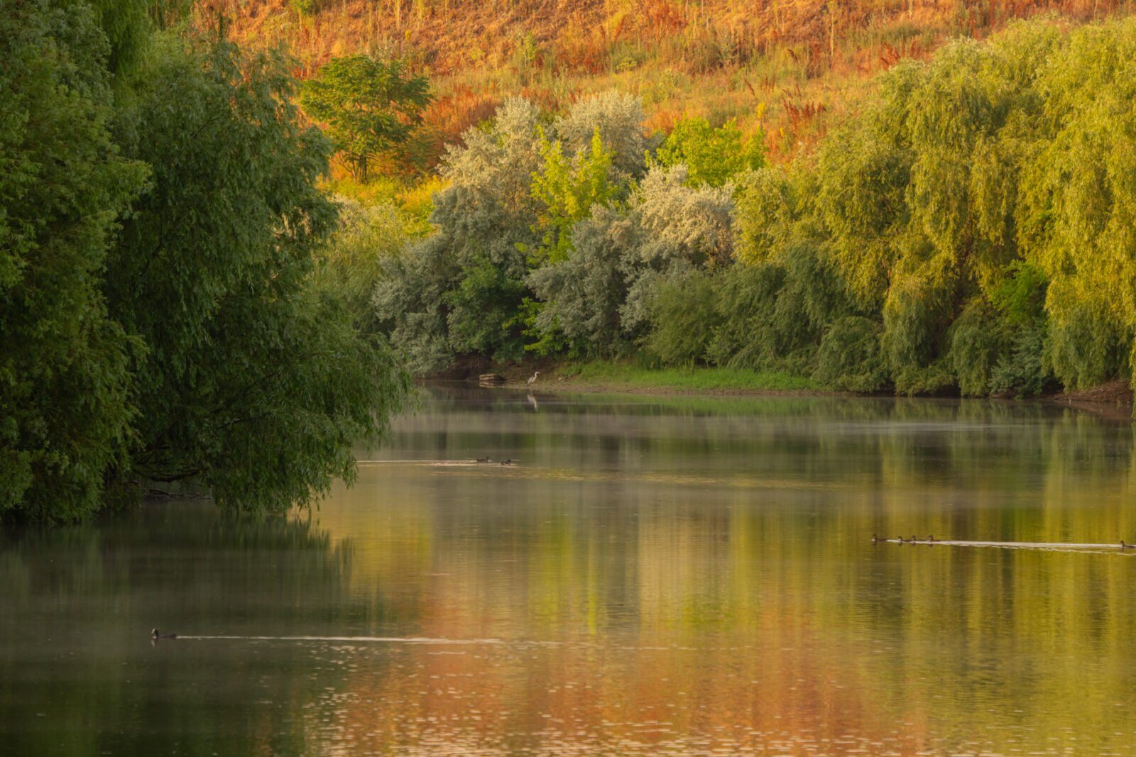 Atelier foto gratuit pe traseul Dâmboviței