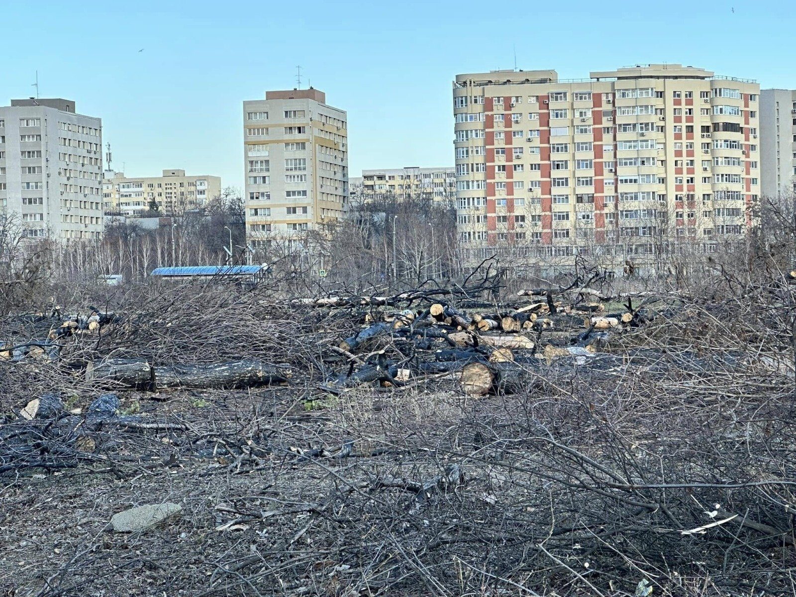 Ciucu promite un răspuns AUR după ce grupul a condiționat participarea la ședințele CGMB Primarul Capitalei, Ciprian Ciucu, a anunțat vineri că va oferi un răspuns clar reprezentanților Alianței pentru Unirea Românilor (AUR)