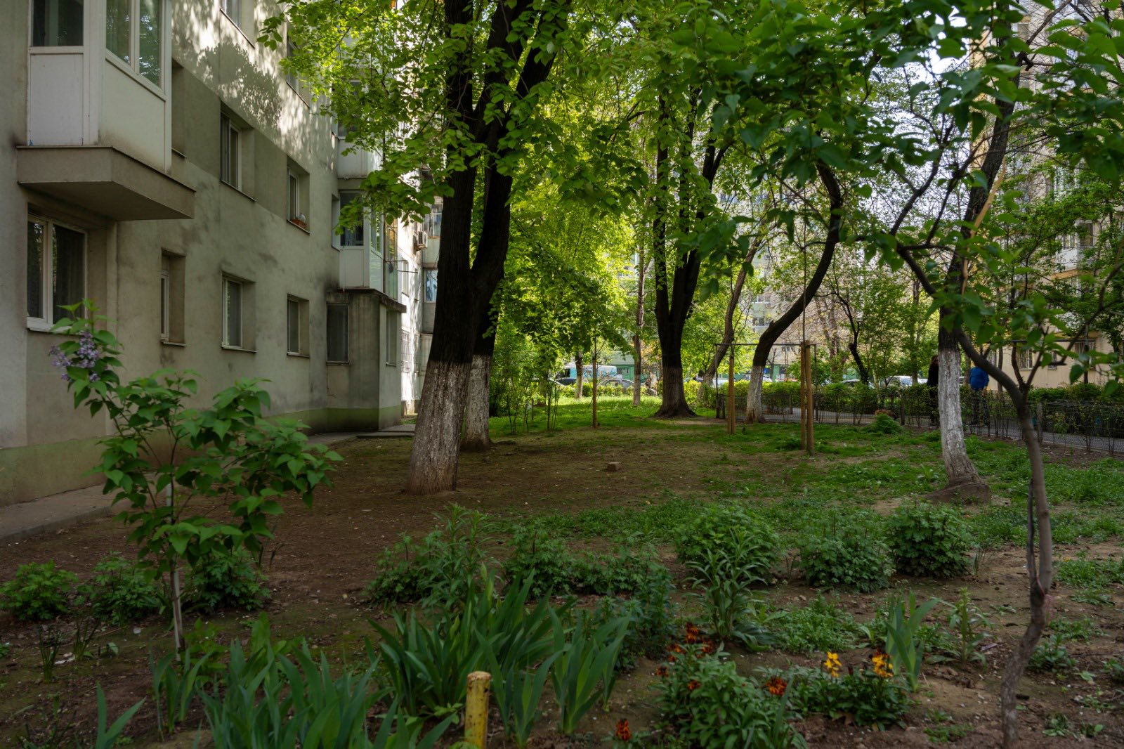 Tineri din Sectorul 2 invitați să contribuie la regenerarea urbană prin proiecte inovatoare Echipe de studenți și tineri cu vârsta sub 28 de ani din Sectorul 2 au acum oportunitatea de a se implica activ în transformarea orașului