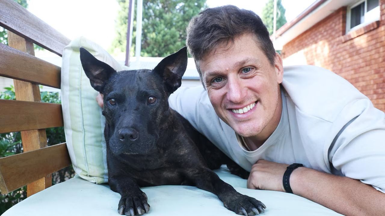 Un antreprenor folosește inteligența artificială pentru a trata cancerul la câine: O poveste despre inovație și speranță În Sydney, Australia, Paul Conyngham, un antreprenor cu experiență vastă în domeniul machine learning, a utilizat inteligența artificială (AI) pentru a dezvolta un tratament personalizat pentru câinele său, Rosie, diagnosticat cu o formă agresivă de cancer
