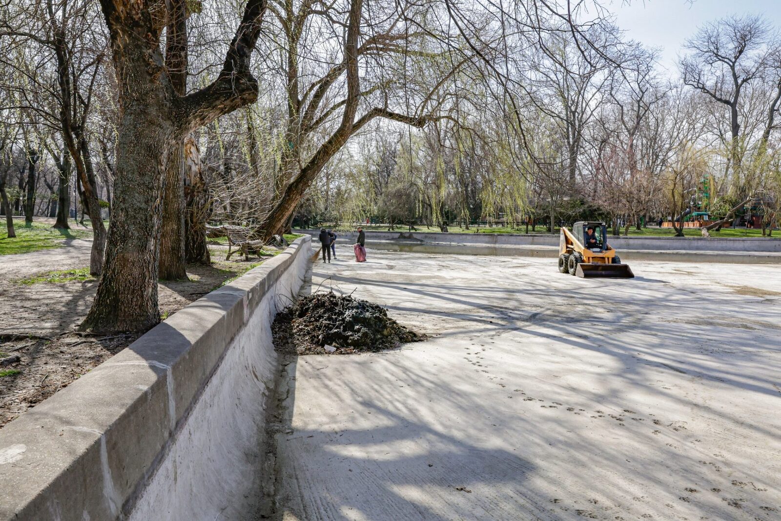 Lucrări ample de reabilitare în Parcul Cișmigiu și pe Bulevardul Pompeiu Administrația Lacuri, Parcuri și Agrement București (ALPAB) a demarat lucrări de amenajare pe Lacul Cișmigiu, cu procesul de umplere cu apă a cuvei lacului