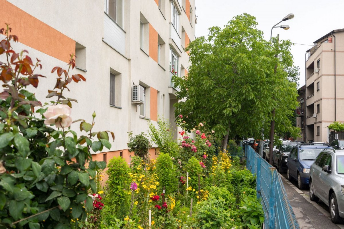 Amenzi pentru proprietarii de blocuri: Cum să eviți sancțiunile pentru zonele verzi neglijate Asociațiile de proprietari din România pot fi amendate dacă nu respectă obligațiile de întreținere a spațiilor din jurul blocurilor