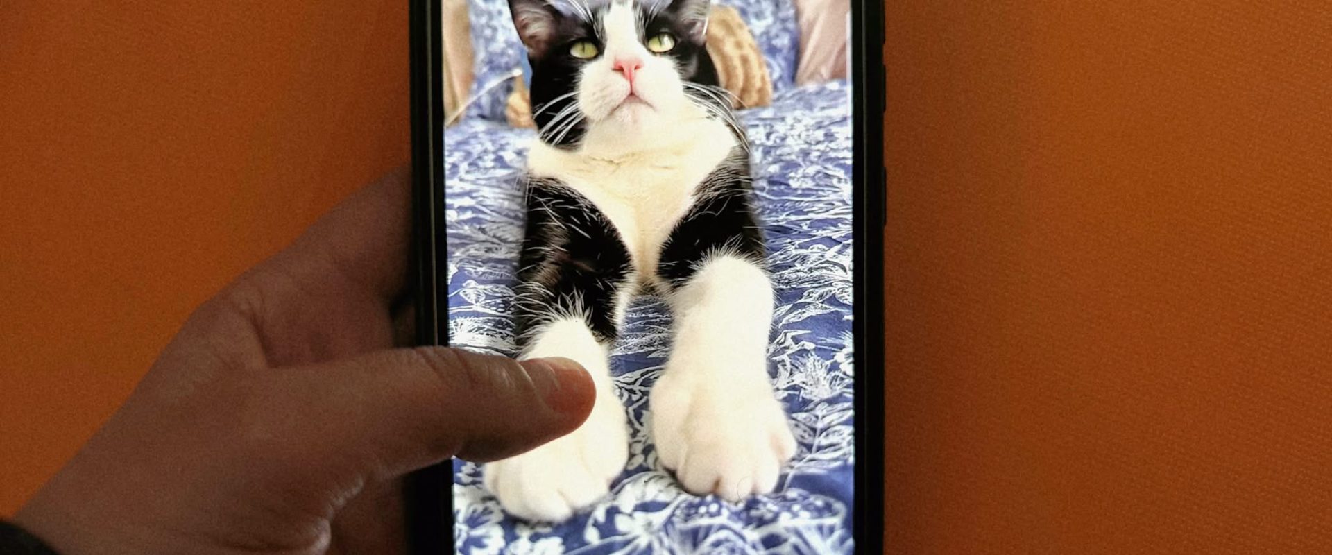 Clipuri scurte, atenție scurtă? Cum ne influențează creierul febra TikTok Platformele de socializare, dominate de videoclipuri scurte, au cucerit lumea, dar experții trag semnale de alarmă