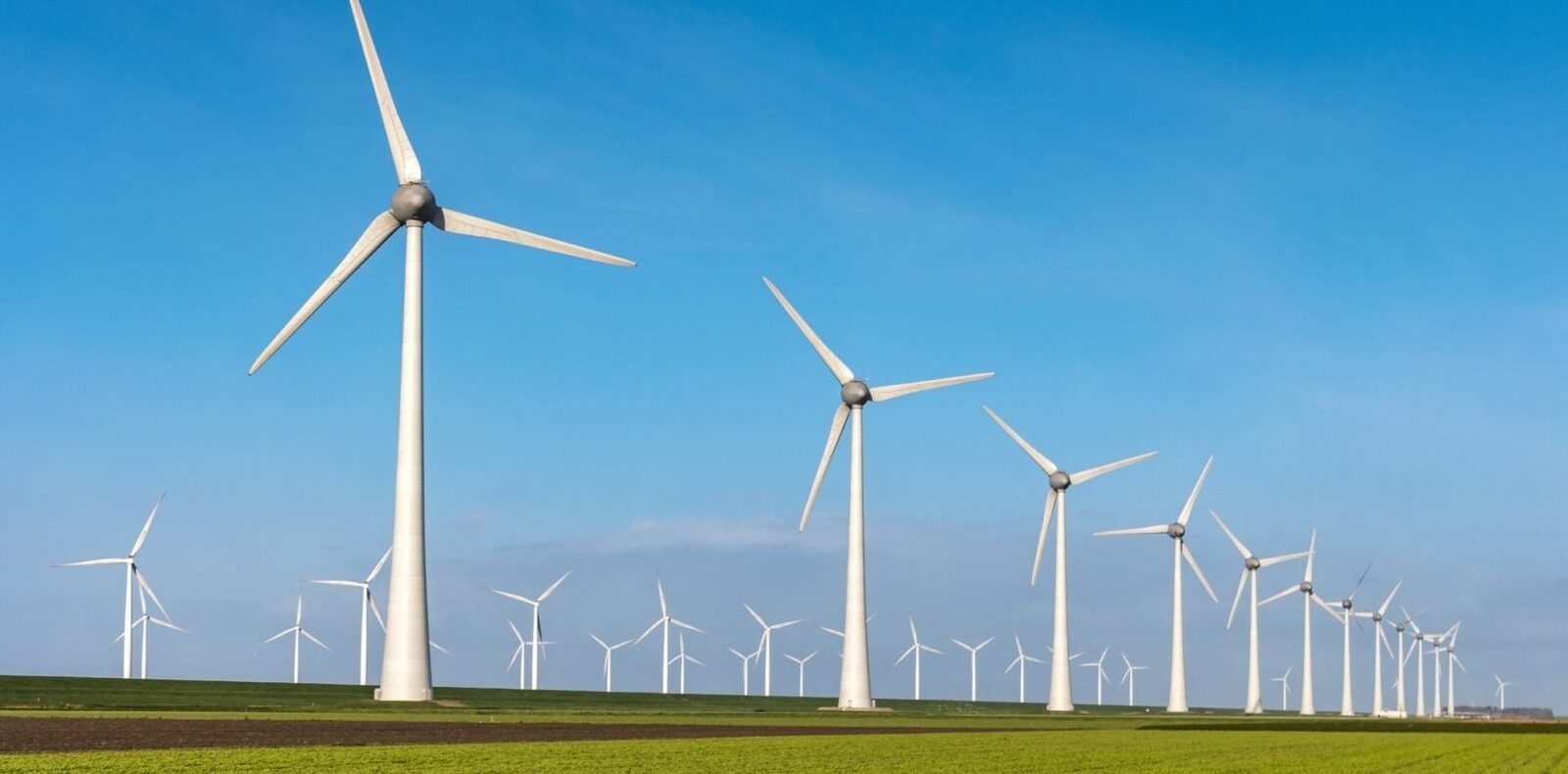 Administrația Trump plătește un miliard de dolari pentru anularea unui proiect eolian Fostul guvern american condus de Donald Trump va plăti aproximativ un miliard de dolari companiei franceze TotalEnergies, ca despăgubire pentru anularea unui proiect de dezvoltare a unui parc eolian