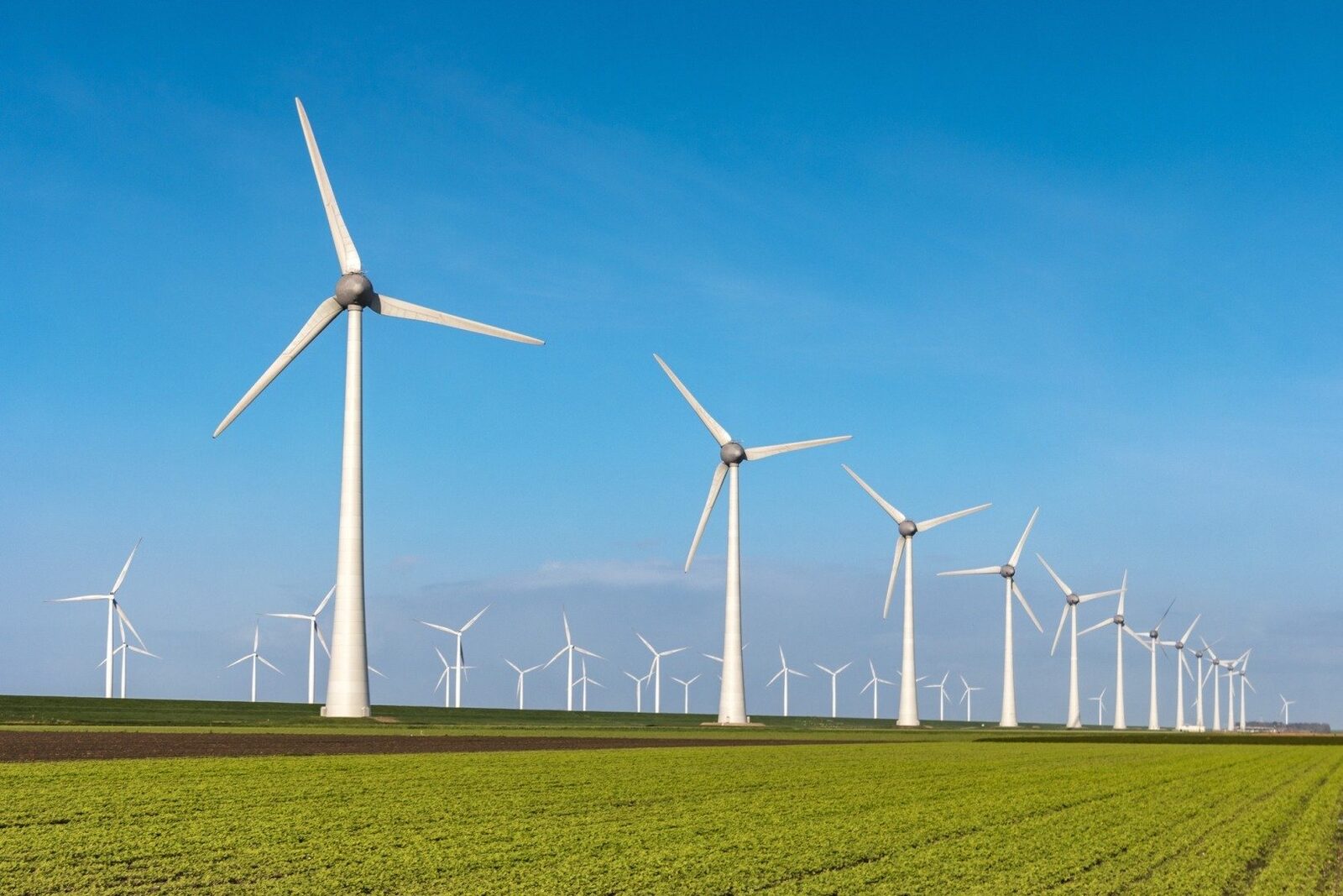 Administrația Trump plătește un miliard de dolari pentru anularea unui proiect eolian Fostul guvern american condus de Donald Trump va plăti aproximativ un miliard de dolari companiei franceze TotalEnergies, ca despăgubire pentru anularea unui proiect de dezvoltare a unui parc eolian