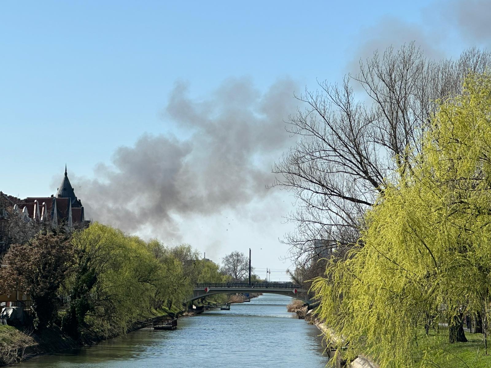 Incendiu în Freidorf: Pompierii intervin pentru stingerea focului Timișoara – Miercuri, pompierii timișoreni intervin pentru a lichida un incendiu izbucnit în zona Freidorf, în apropierea Liceului Tehnologic Transporturi Auto