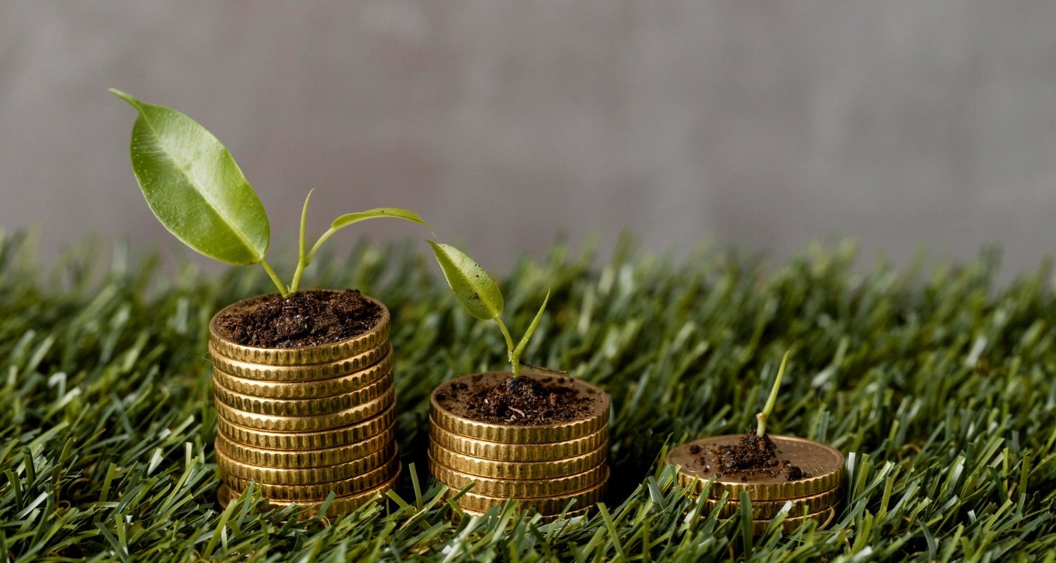 Apia: Plata pe hectar simplificată din 2026. Ce fermieri vor beneficia?