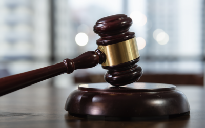 USR propune un pachet legislativ pentru „dezoligarhizarea” justiției Uniunea Salvați România (USR) a anunțat, marți, depunerea unui set de 12 proiecte legislative menite să reformeze sistemul judiciar