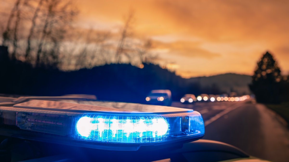 Man stabs 4 people, dog in road rage attack – NBC4 Washington