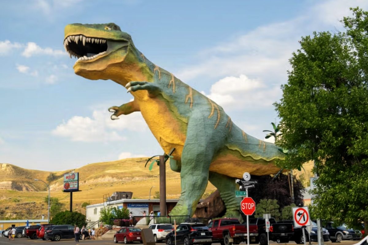 Tyra, dinozaurul uriaș care riscă să dispară Un simbol turistic monumental, reprezentat de un T
