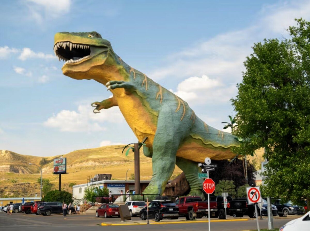 Tyra, dinozaurul uriaș care riscă să dispară Un simbol turistic monumental, reprezentat de un T