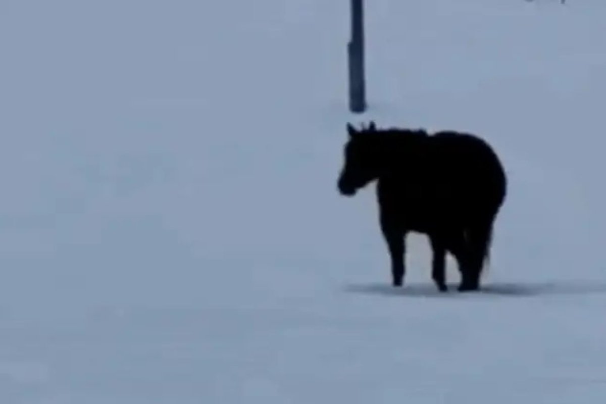 Cu cât analizez mai mult, cu atât confuzia crește