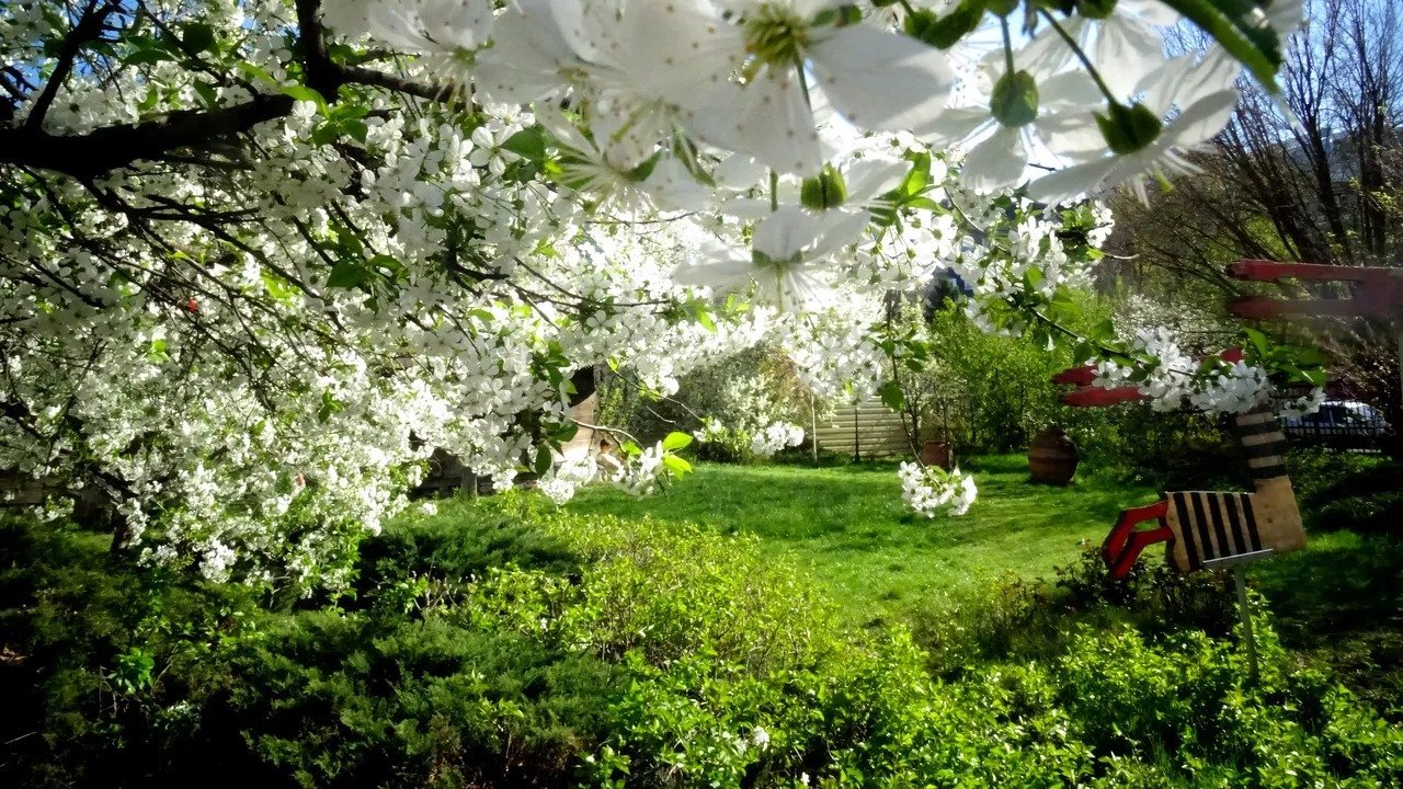 Vreme neobișnuit de caldă: temperaturi peste normalul sezonului în România România se pregătește pentru o perioadă cu temperaturi peste cele specifice lunii martie, potrivit prognozelor meteorologice