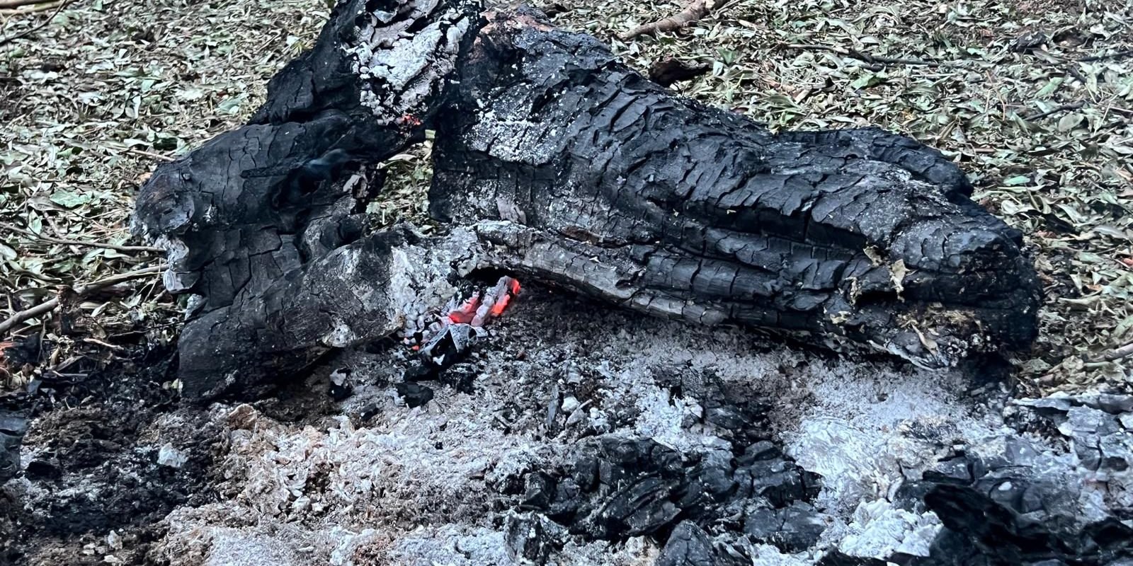 Avioanele românești, pregătite să tragă asupra țintelor aeriene detectate lângă granița cu Ucraina Ministrul Apărării, Radu Miruță, a confirmat sâmbătă că avioanele militare românești care au decolat vineri, după ce au fost detectate ținte aeriene în apropierea frontierei cu Ucraina, au avut aprobarea necesară pentru a deschide focul