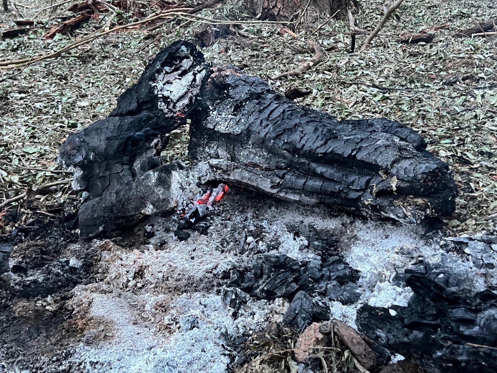 Avioanele românești, pregătite să tragă asupra țintelor aeriene detectate lângă granița cu Ucraina Ministrul Apărării, Radu Miruță, a confirmat sâmbătă că avioanele militare românești care au decolat vineri, după ce au fost detectate ținte aeriene în apropierea frontierei cu Ucraina, au avut aprobarea necesară pentru a deschide focul