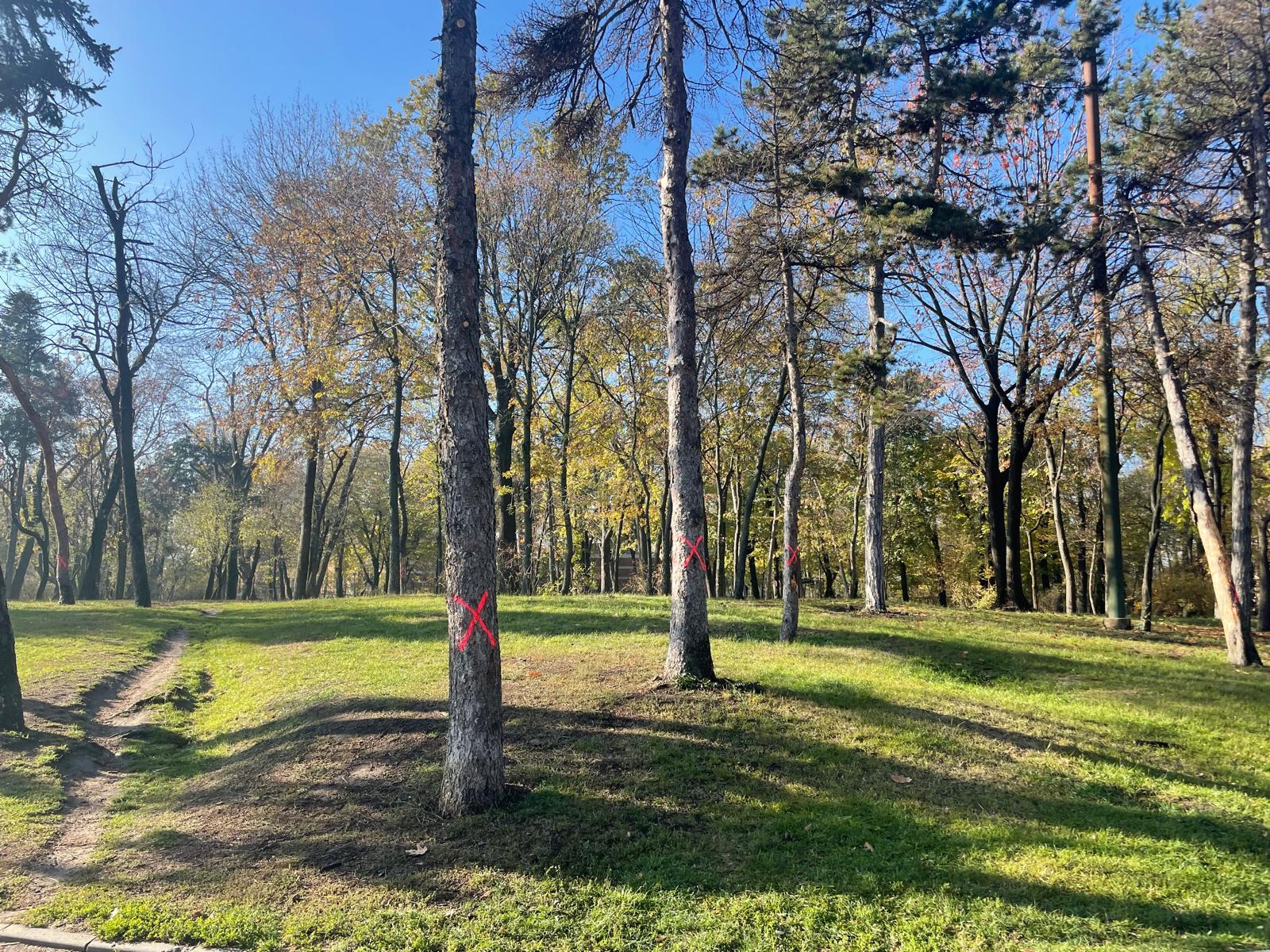 Amenzi usturătoare pentru o firmă care a distrus arbori în Parcul Carol O companie care executa lucrări în Parcul Carol din București va fi sancționată de Primăria Capitalei pentru că a încălcat normele legale privind protecția spațiilor verzi