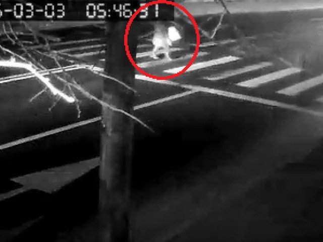 Imagini: Kader keita, accidentul auto. Filmarea momentului, impact emoțional