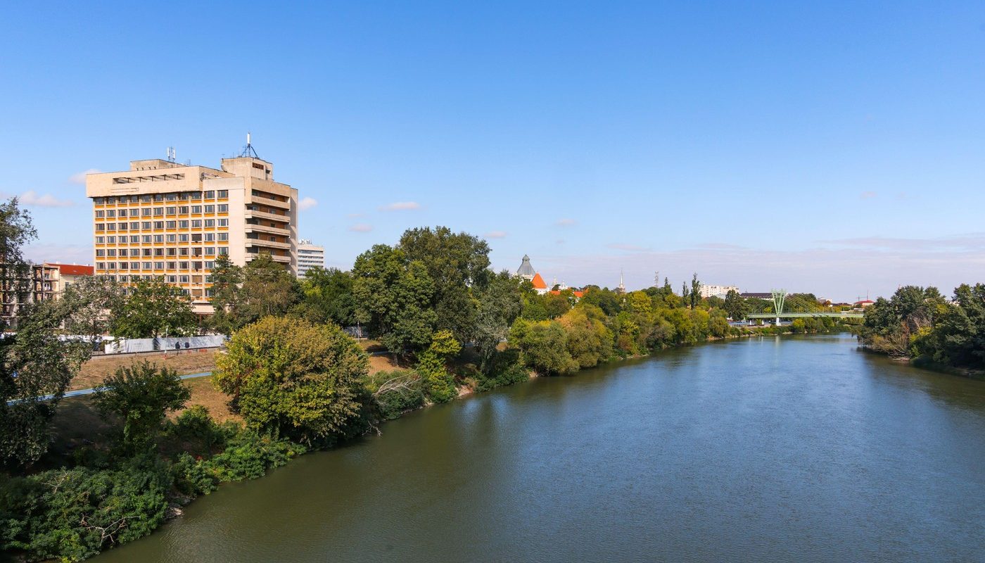 Animal sălbatic, observat frecvent într-un oraș din România