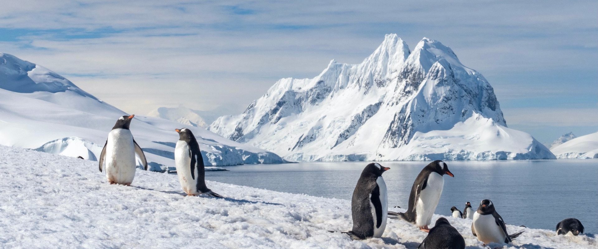 Antarctica, cândva considerată un bastion împotriva schimbărilor climatice, dă semne îngrijorătoare că nu mai este protejată de efectele încălzirii globale