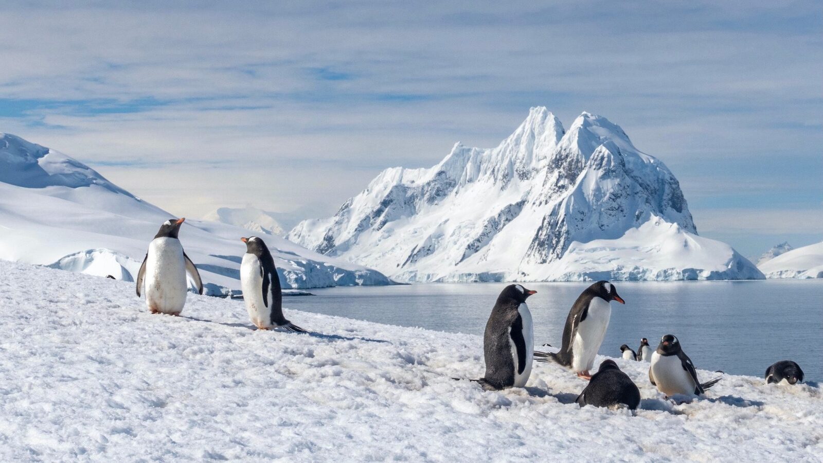 Antarctica, cândva considerată un bastion împotriva schimbărilor climatice, dă semne îngrijorătoare că nu mai este protejată de efectele încălzirii globale