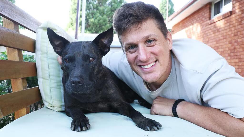 Australianul vindecă cancerul canin, fără studii medicale