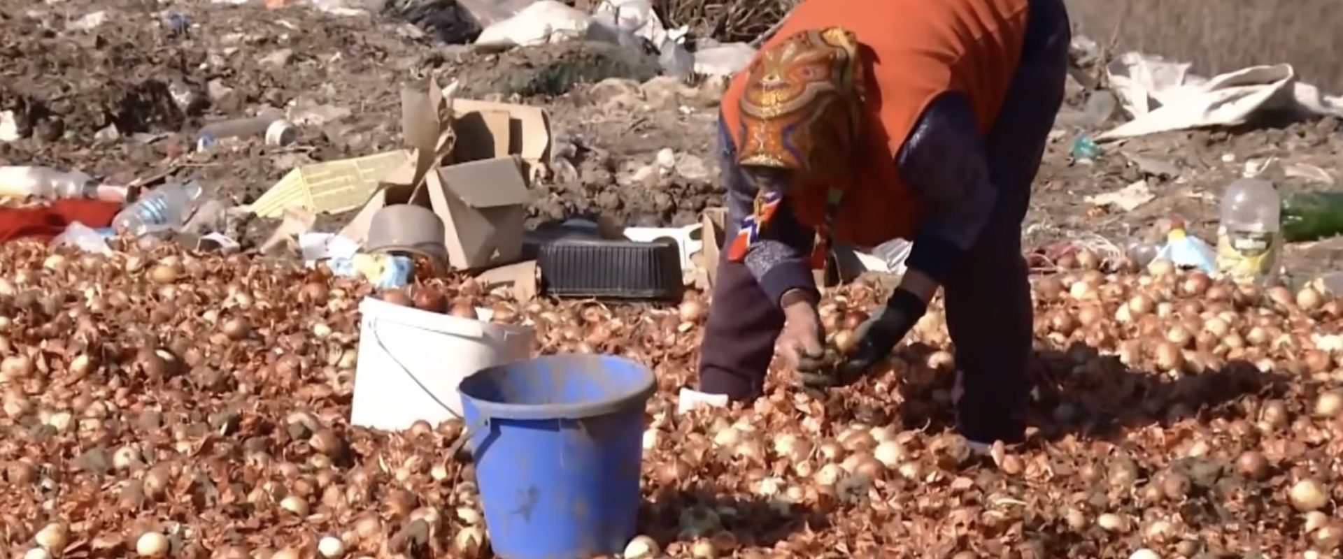 Ceapă aruncată la gunoi în Republica Moldova: Localnicii strâng legumele pentru a face față prețurilor Mai multe tone de ceapă și alte legume au fost aruncate la o groapă de gunoi lângă satul Gura Bâcului din raionul Anenii Noi, Republica Moldova, potrivit unor informații recente