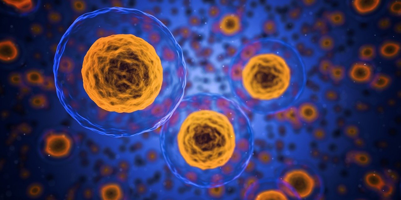 Oamenii de știință au reușit să modifice o bacterie comună, prezentă în corpul uman, pentru a identifica și ataca tumorile canceroase