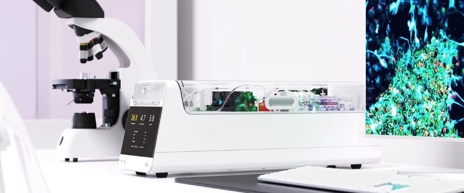 Celule cerebrale umane au învățat un joc video pe un cip