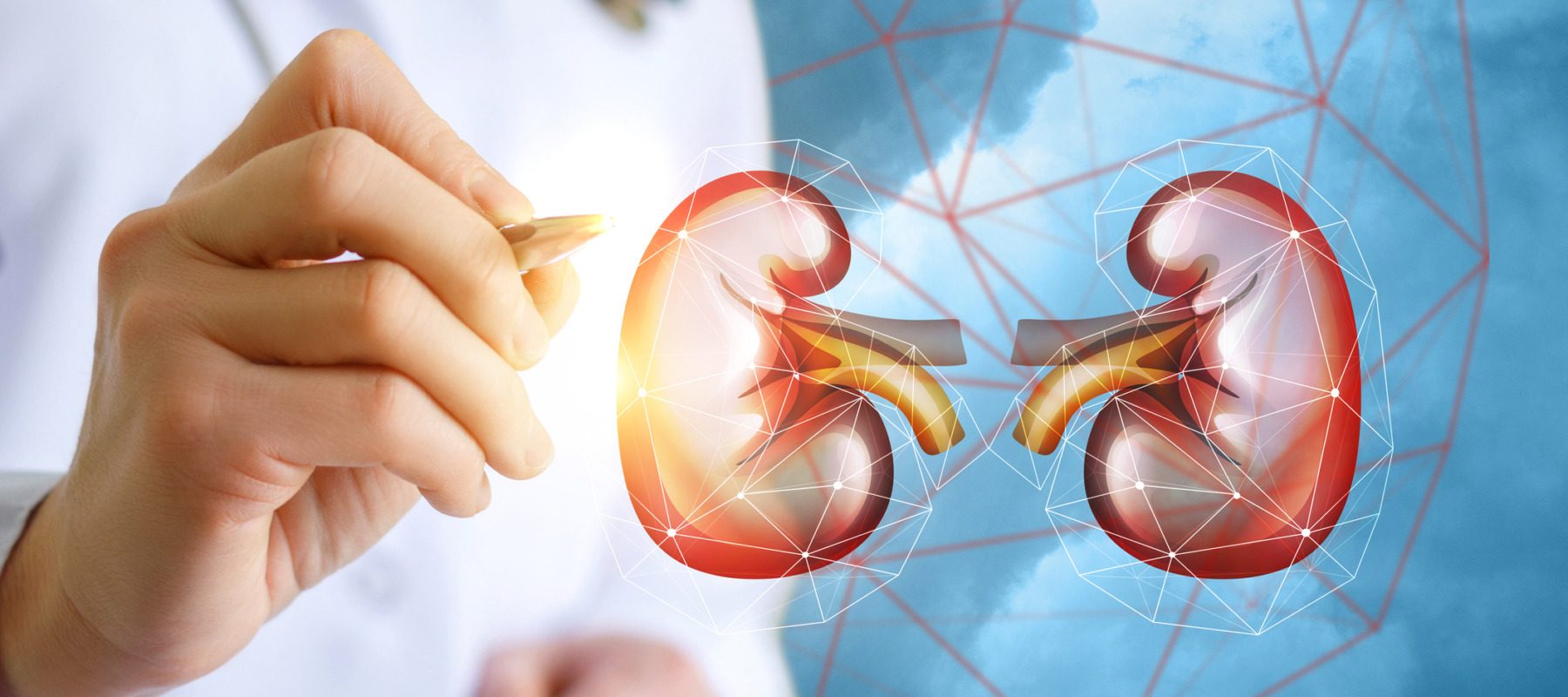 Transplanturile renale, un efort constant în umbra așteptării Institutul Clinic de Urologie și Transplant Renal din Cluj a înregistrat o creștere constantă a numărului de transplanturi renale efectuate în ultimii ani