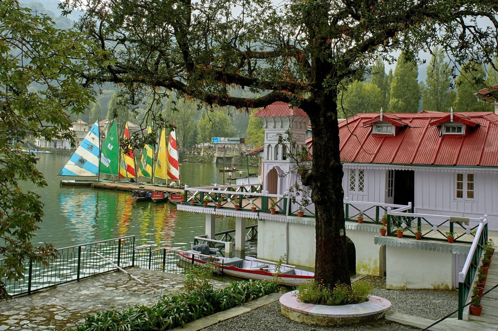 Kathdhara, satul din Himalaya care te cucerește prin culoare Satul Kathdhara, adăpostit în inima munților Himalaya, este o explozie vizuală