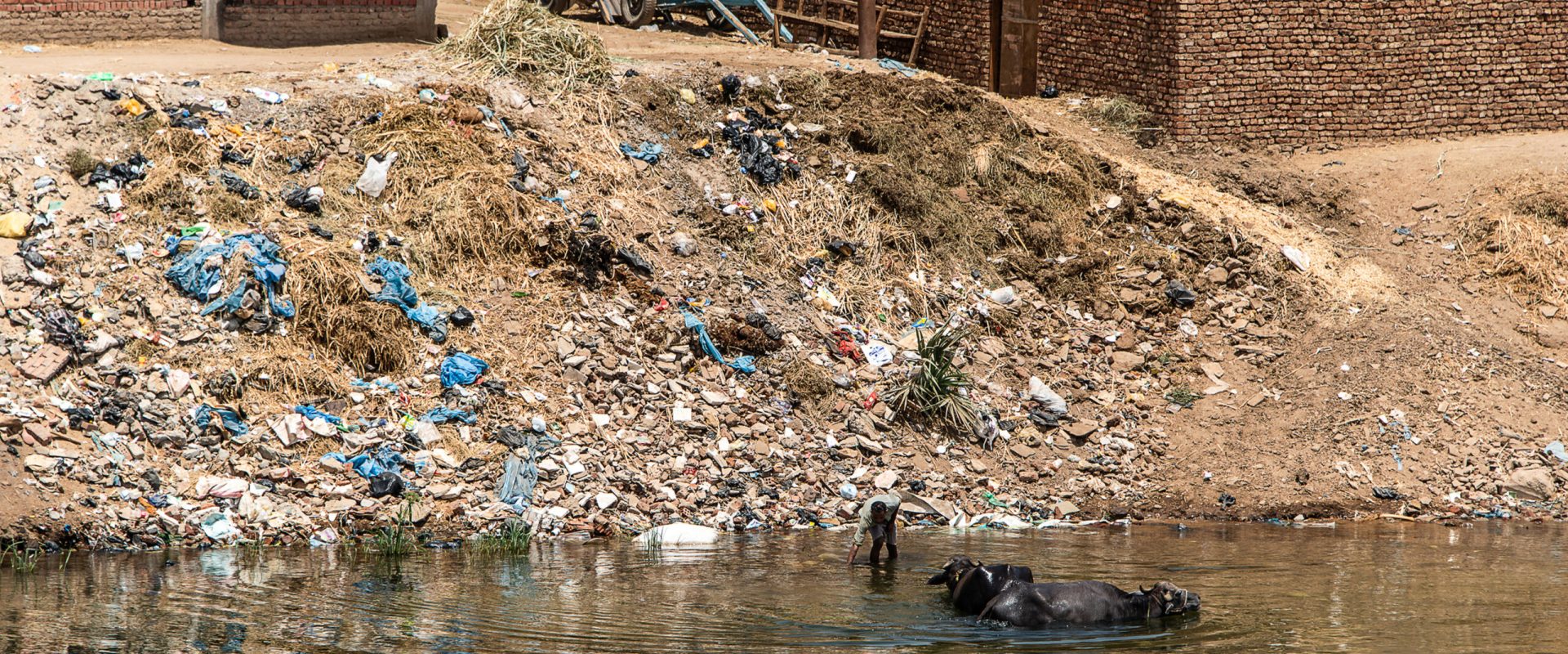 De la pescar la vânător de plastic: o transformare pe Nilul din Cairo În zorii zilei, pe când Cairo încă se trezește, o ambarcațiune străbate apele Nilului