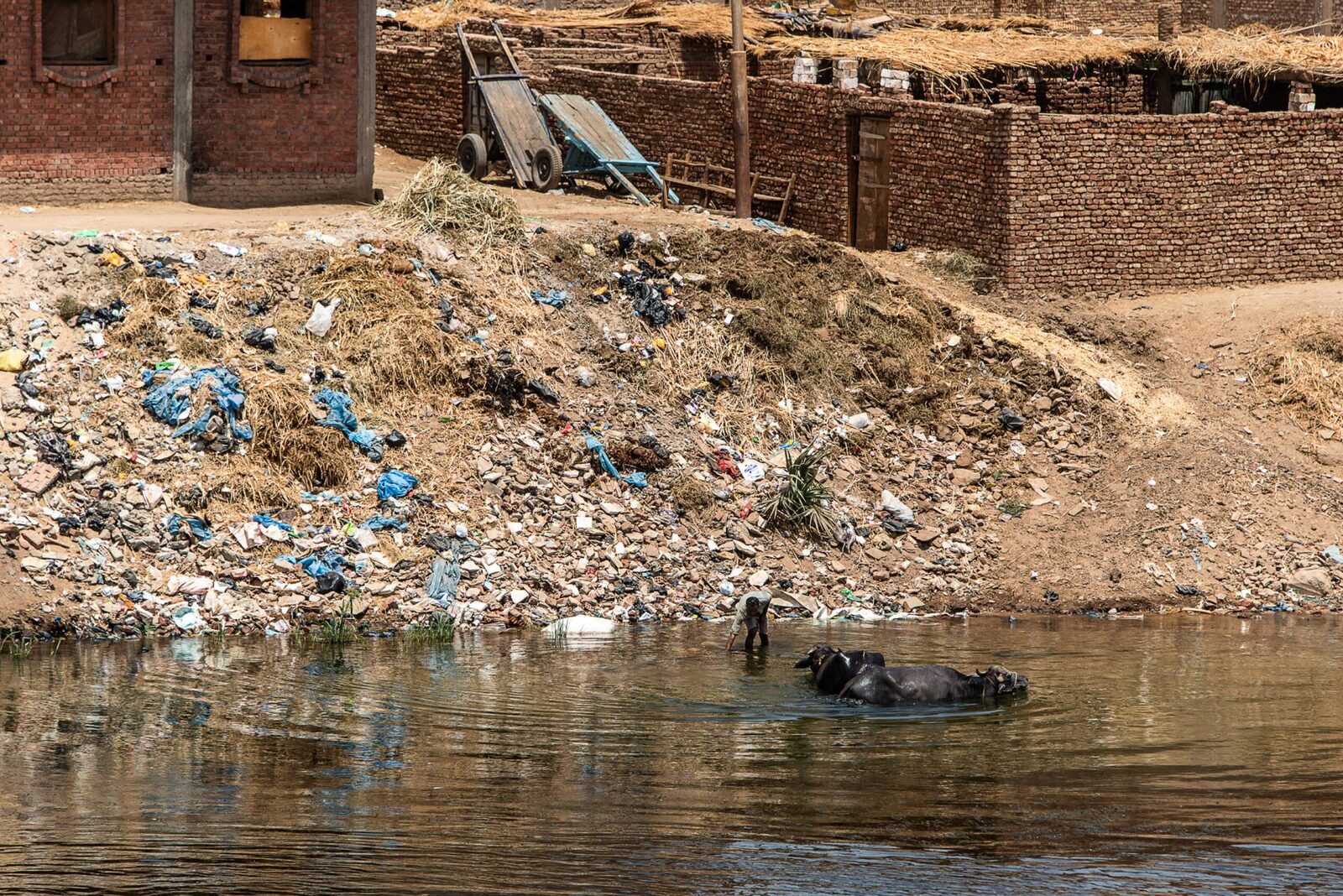 De la pescar la vânător de plastic: o transformare pe Nilul din Cairo În zorii zilei, pe când Cairo încă se trezește, o ambarcațiune străbate apele Nilului