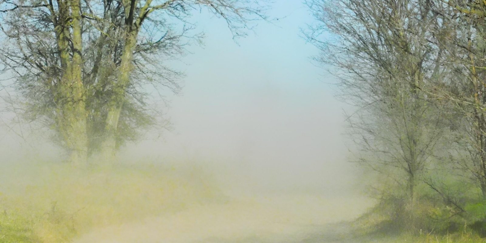 Vânt puternic în mai multe regiuni ale țării, atenționare meteo emisă de ANM Administrația Națională de Meteorologie (ANM) a emis o informare meteorologică valabilă începând de mâine seară, 8 martie, ora 20:00, și până pe 10 martie