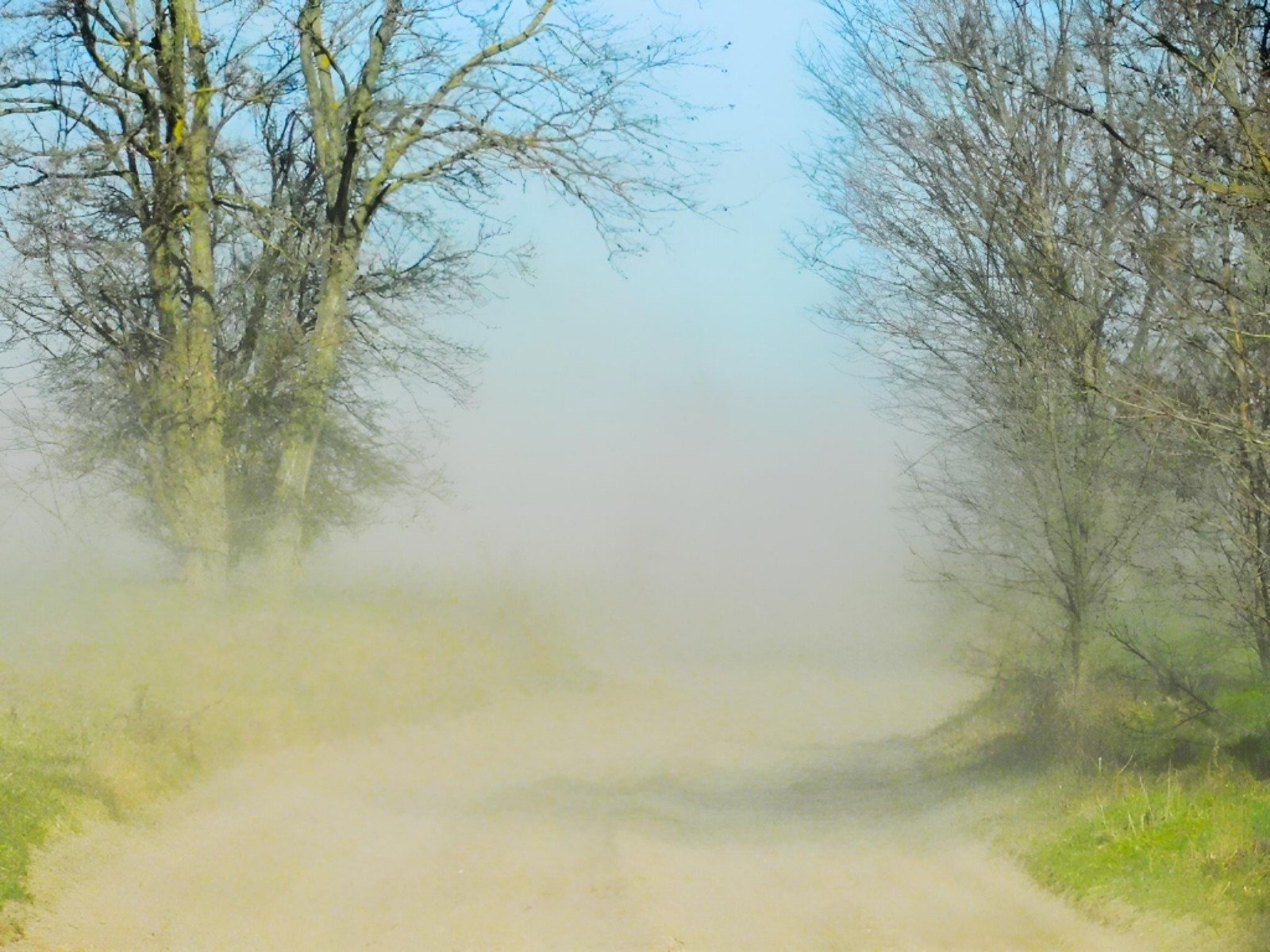 Vânt puternic în mai multe regiuni ale țării, atenționare meteo emisă de ANM Administrația Națională de Meteorologie (ANM) a emis o informare meteorologică valabilă începând de mâine seară, 8 martie, ora 20:00, și până pe 10 martie
