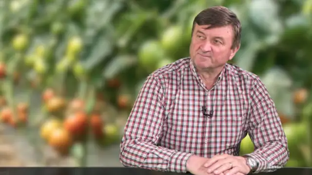 Prețurile legumelor cresc înaintea Paștelui, din cauza scumpirii carburanților Producătorii de legume din România se confruntă cu o creștere a costurilor de producție, determinată în principal de majorarea prețurilor la carburanți, dar și la energie