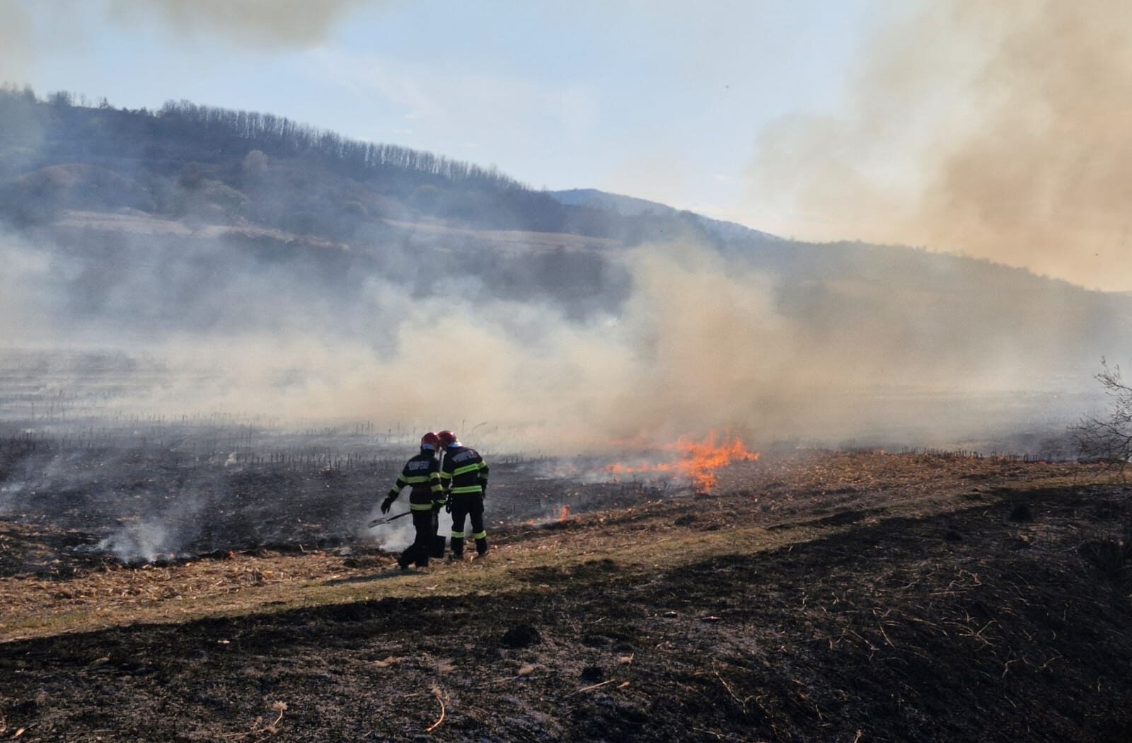 Incendiu major în Maramureș: Flăcările au cuprins zona împădurită de lângă complexul „Două Veverițe” Un incendiu de proporții a izbucnit duminică în apropierea complexului „Două Veverițe” din localitatea Lăpușel, județul Maramureș