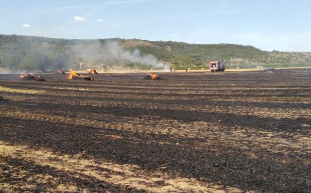 Incendiu de vegetație pe lângă calea ferată: Trenurile au fost oprite preventiv Două trenuri de călători, un InterCity (IC) și un InterRegio (IR), au fost oprite preventiv miercuri din cauza unui incendiu de vegetație uscată izbucnit în apropierea căii ferate