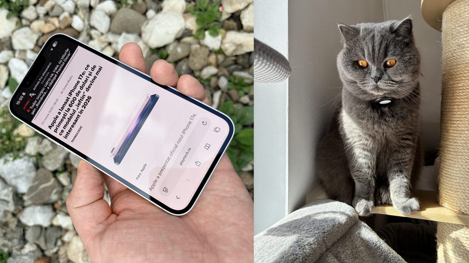 Review iPhone 17e: Ce înseamnă „ieftin și bun” la apple