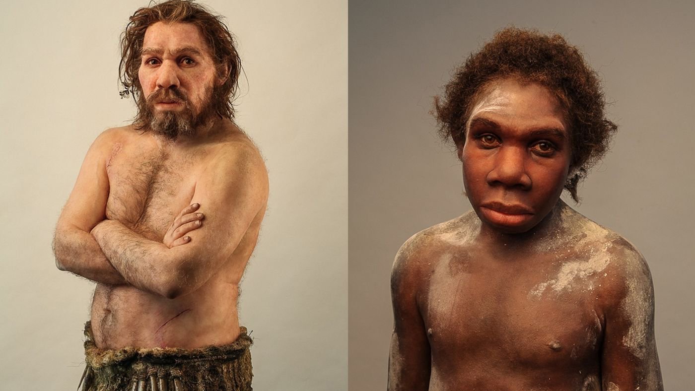 Neanderthalienii, o istorie genetică a dispariției Un nou studiu genetic detaliază modul în care populațiile de neanderthalieni din Europa au trecut printr-o criză majoră, cu mult înainte de dispariția lor