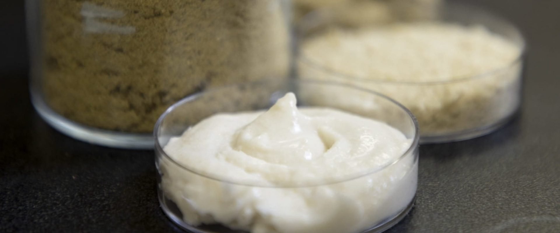 Orezul, noua vedetă din bucătăria vegană: cercetătorii explorează potențialul „brânzei” vegetale O nouă cercetare arată cum orezul ar putea deveni un ingredient cheie în producția de brânzeturi vegane, oferind o sursă de proteine accesibilă și versatilă