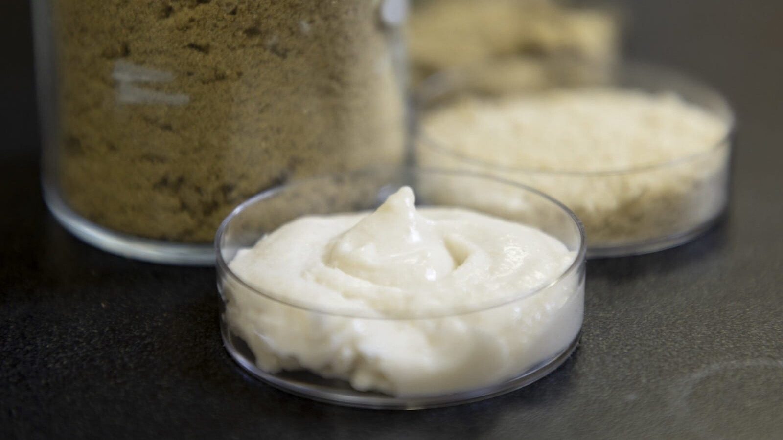 Orezul, noua vedetă din bucătăria vegană: cercetătorii explorează potențialul „brânzei” vegetale O nouă cercetare arată cum orezul ar putea deveni un ingredient cheie în producția de brânzeturi vegane, oferind o sursă de proteine accesibilă și versatilă