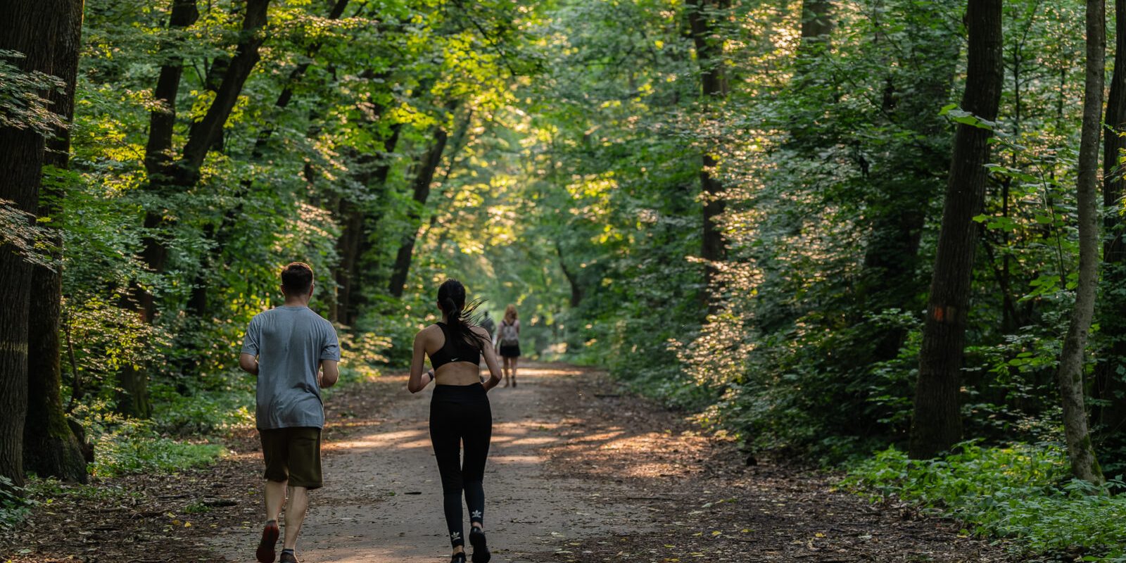 Pădurea Băneasa, în atenția autorităților: un studiu propune transformarea într-un parc natural Un studiu realizat în martie 2026 de Asociația Parcul Natural București (APNB) aduce în discuție transformarea Pădurii Băneasa într-un parc natural protejat