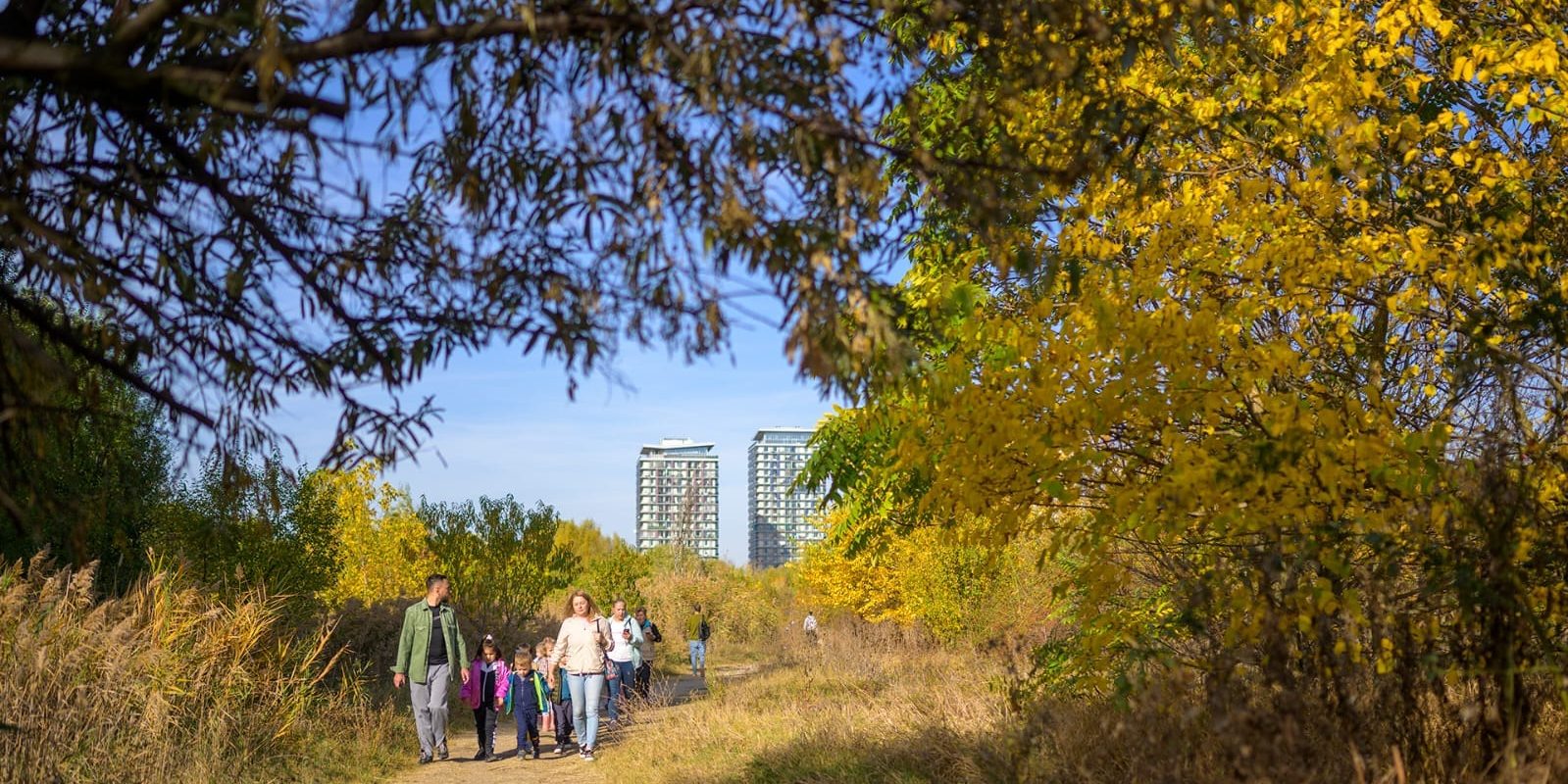 Ghid pentru profesori și elevi, lansat de Asociația Parcul Natural București Asociația Parcul Natural București (APNB) a lansat un ghid de activități dedicat profesorilor și elevilor, pentru a facilita organizarea Săptămânii Verzi în școli