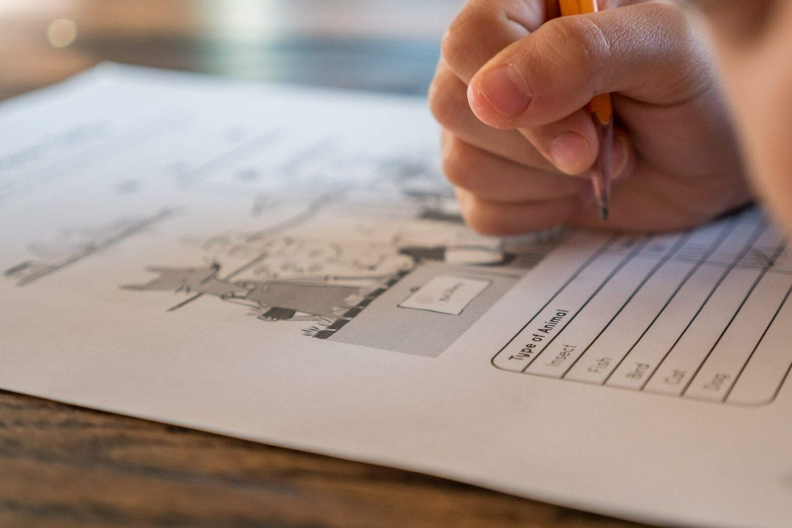 Simularea Evaluării Naționale începe luni, cu proba de Limba română Elevii de clasa a VIII-a vor susține începând de luni, 16 martie, simularea Evaluării Naționale