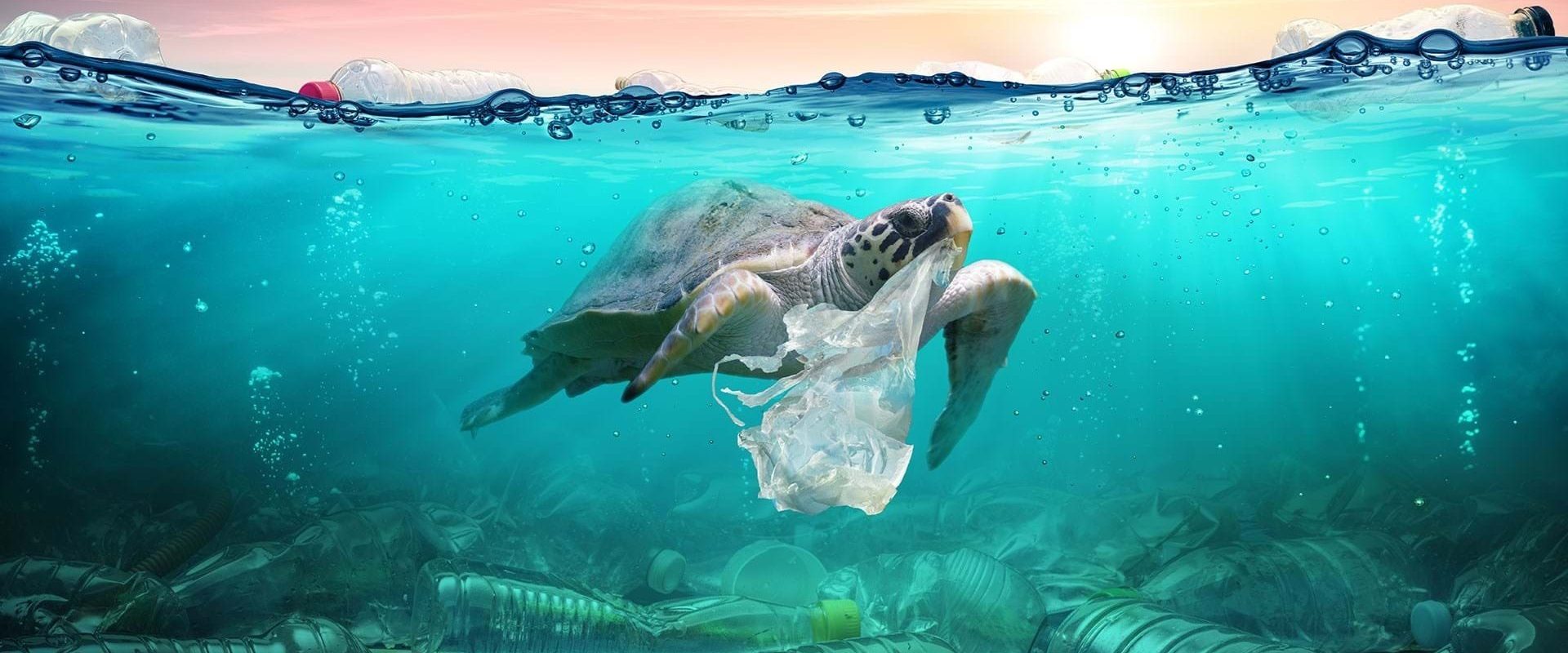 Nanoplasticele, o nouă amenințare invizibilă în oceane Un studiu recent confirmă o situație alarmantă în oceane: cantități masive de nanoplastice, particule minuscule, invizibile cu ochiul liber, poluează apele la scară globală