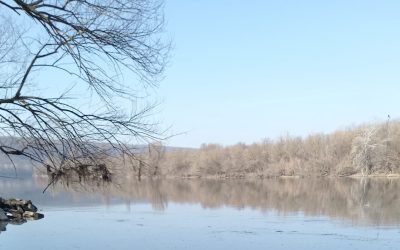 Sandu: Atac rusesc la hidrocentrală ucraineană, poluare în nistru, risc pentru moldova